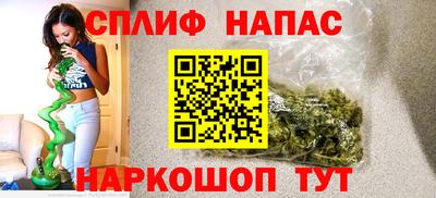амф Можга