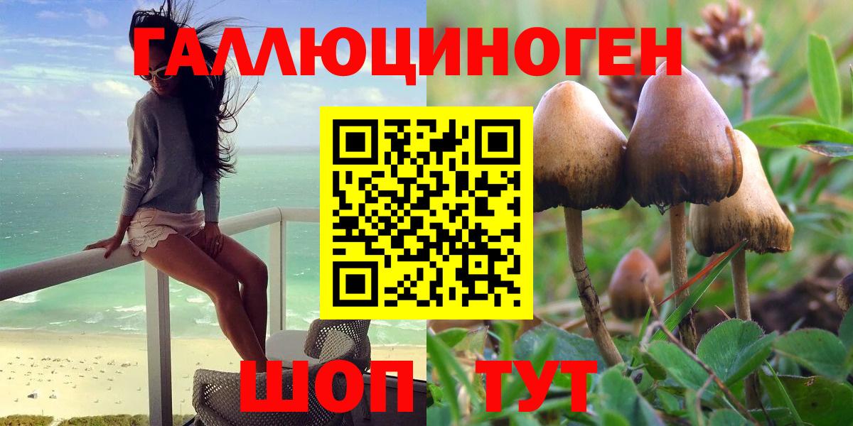 Псилоцибиновые грибы ЛСД Советск