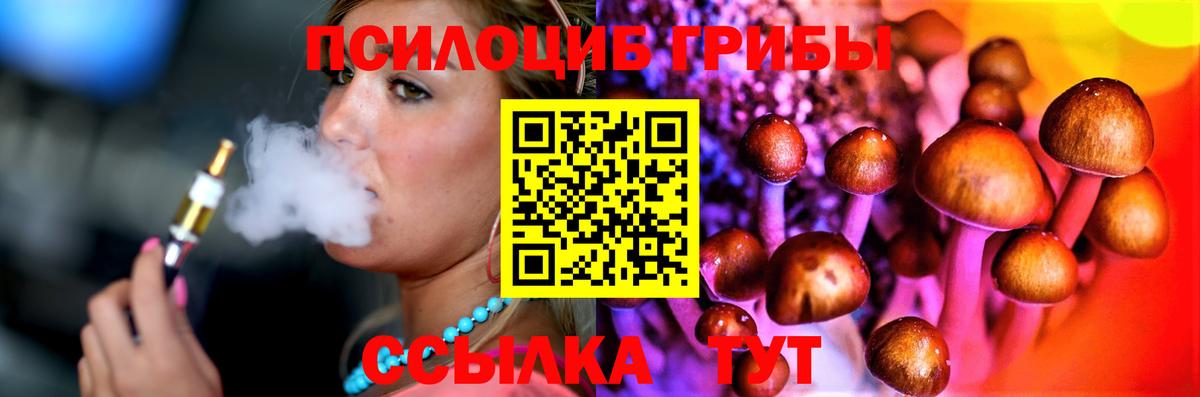 Галлюциногенные грибы Psilocybine cubensis  Вход с VPN  хочу   Советск 